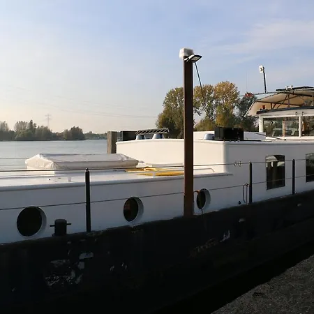 The Red House Botel *
